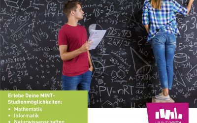 MINTsight.BOchum 2026